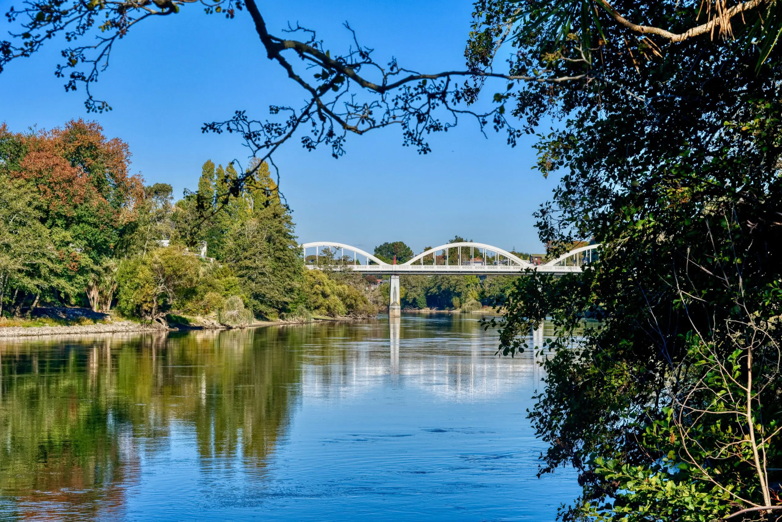 Top Six Reasons Why You Should Live In Hamilton NZ Van Lines