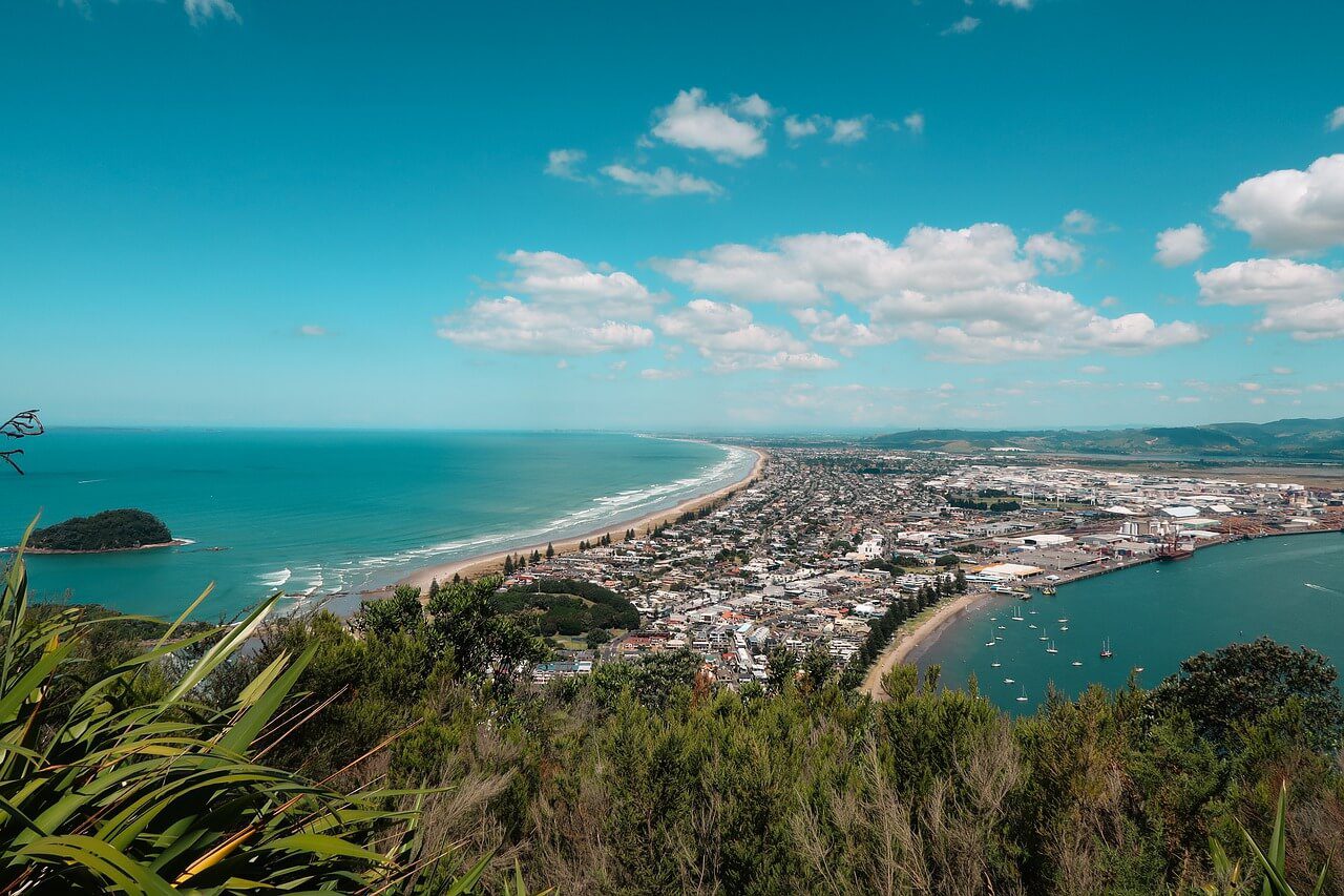 Five Reasons to Move to Tauranga | NZ Van Lines