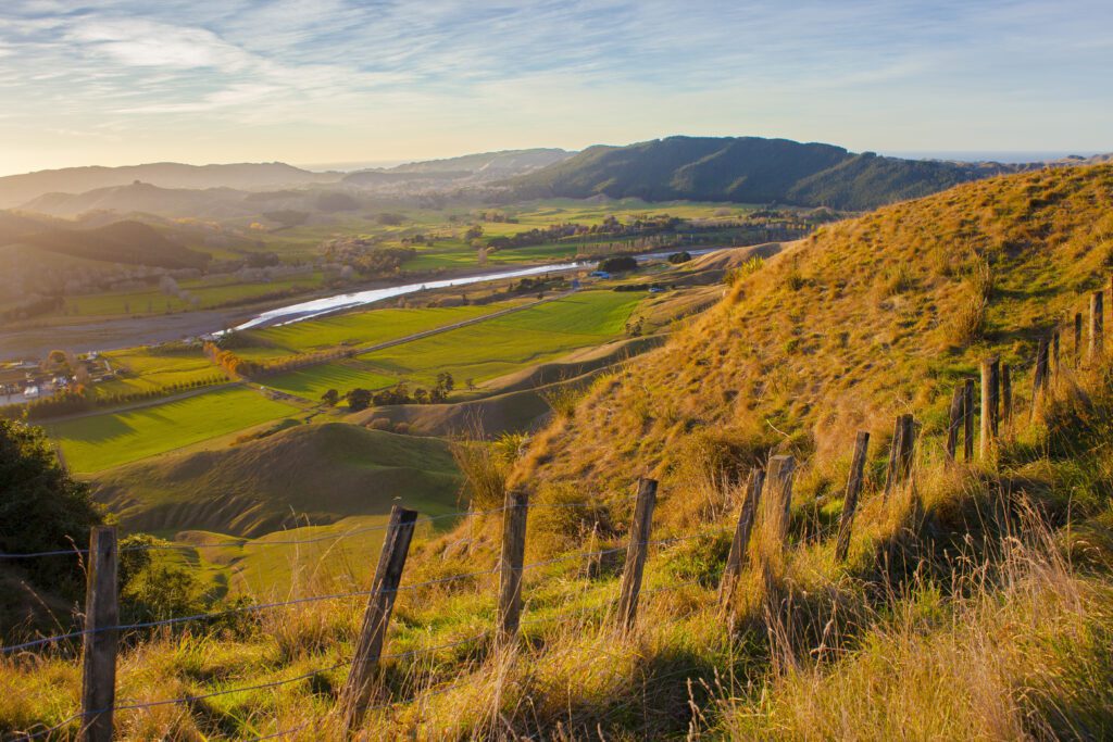 Five Reasons to Move to Hawkes Bay
