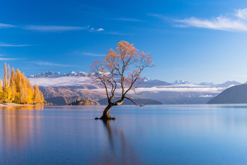 6 Reasons to Move to Wanaka