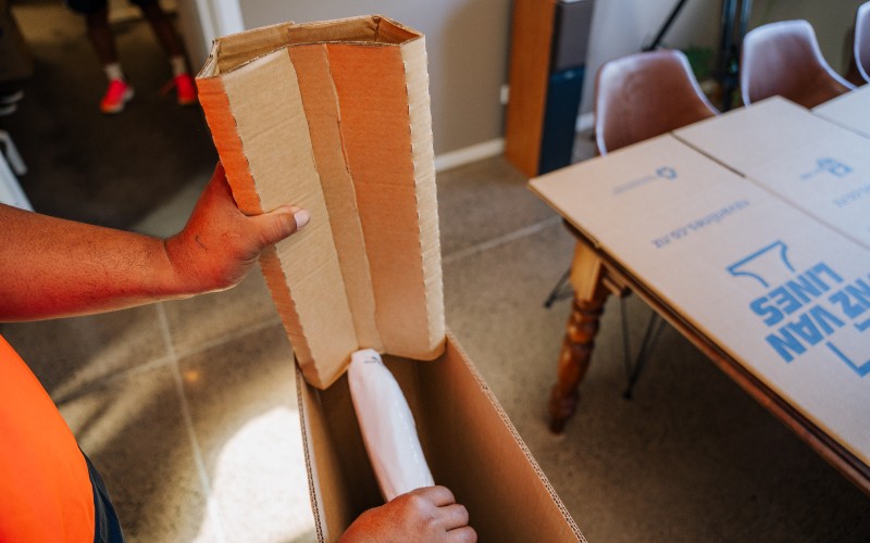 TV Carton and inserts