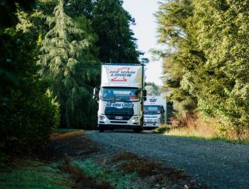 Moving within New Zealand